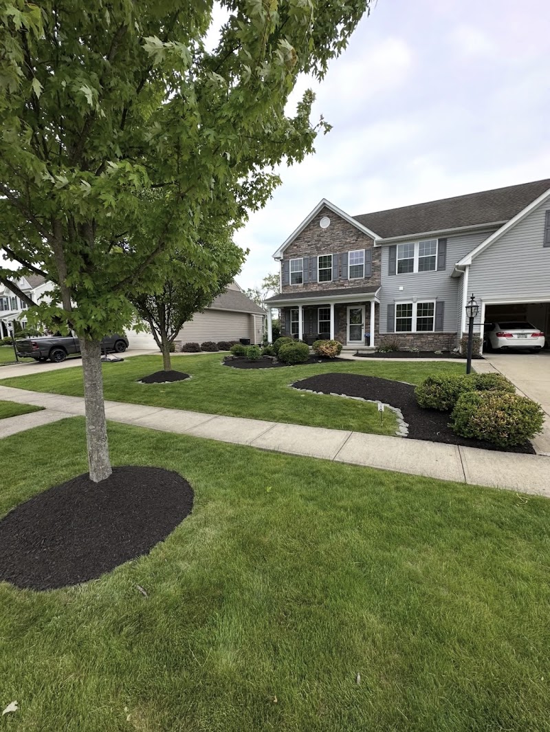 Clean Cut Landscaping Los Angeles in Los Angeles