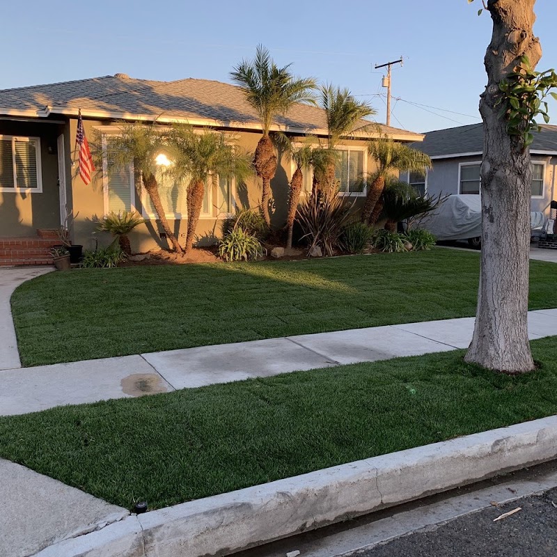 Clean Cut Landscaping Los Angeles in Los Angeles