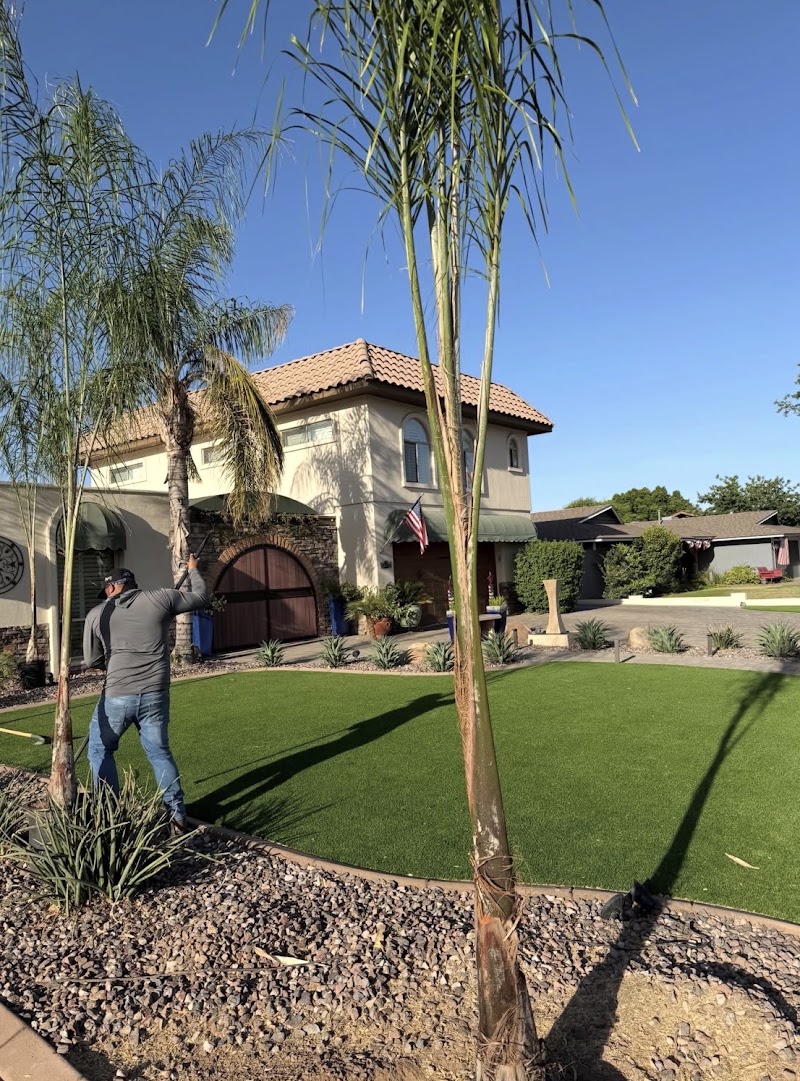 Clean Cut Landscaping Los Angeles in Los Angeles